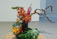 27 - Derek Kitchen.jpg 7.5K